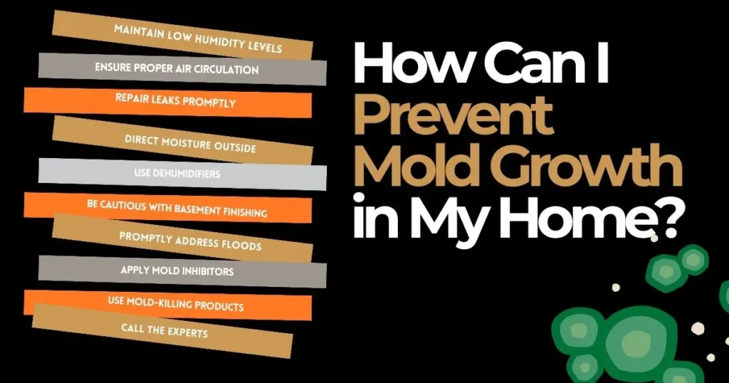How Can I Prevent Mold Growth in My Home