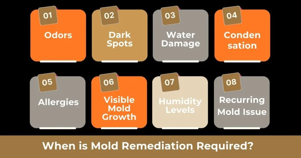 When is Mold Remediation Required?