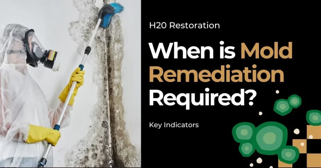 When-is-Mold-Remediation-Required-Cleaning