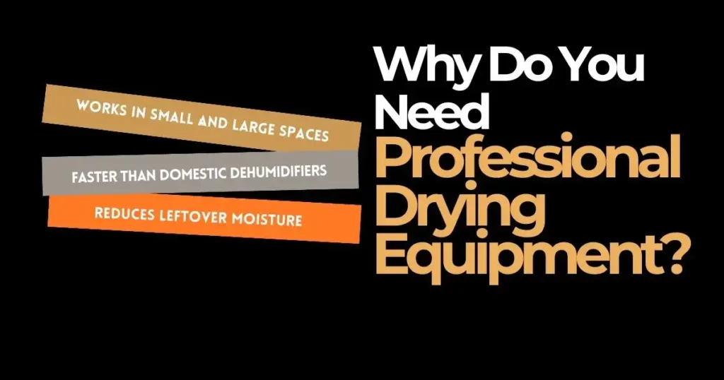 But-Why-Do-You-Need-Professional-Drying-Equipment