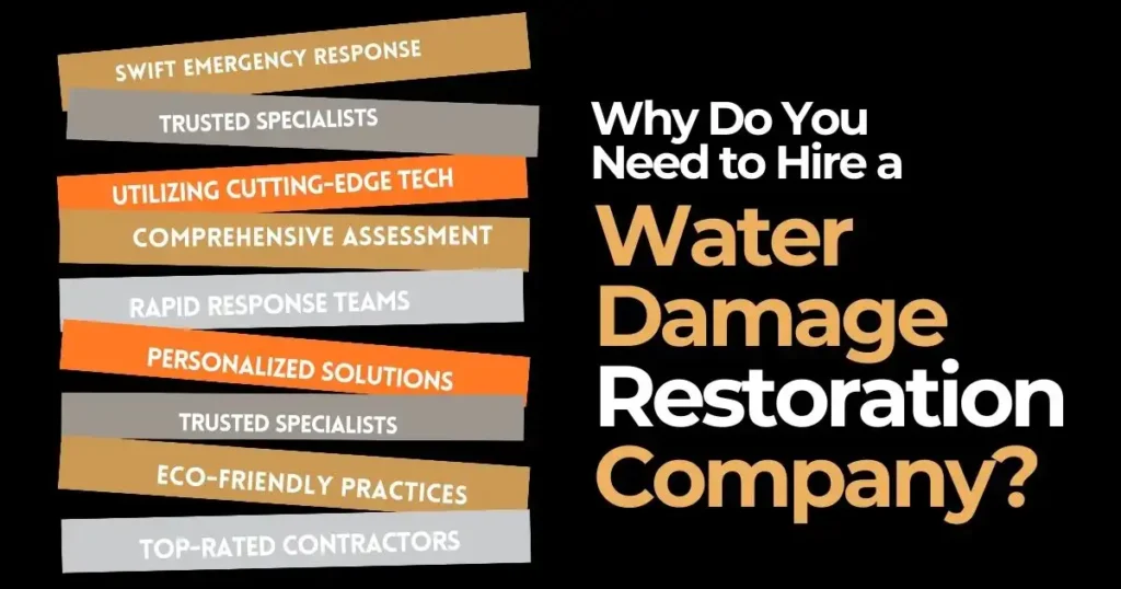 Function-of-a-Water-Damage-Restoration-Company