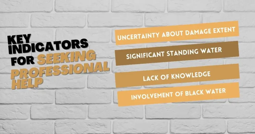 Key-Indicators-for-Seeking-Professional-Help