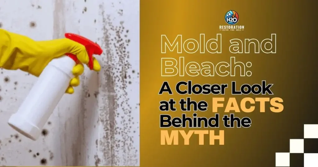 Mold and Bleach_ A Closer Look at the Facts Behind the Myth