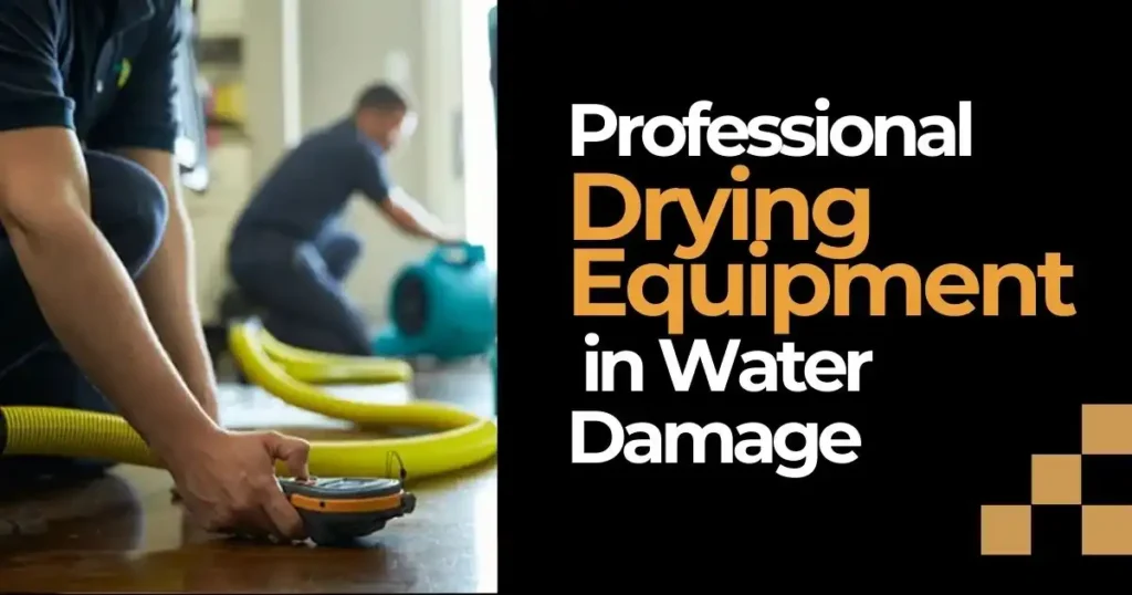 Professional Drying Equipment in Water Damage