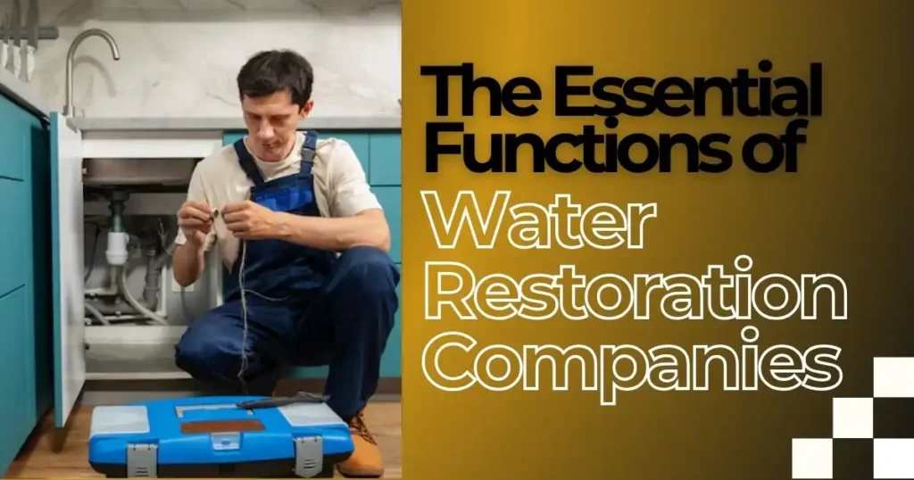 The Essential Functions of Water Restoration Companies