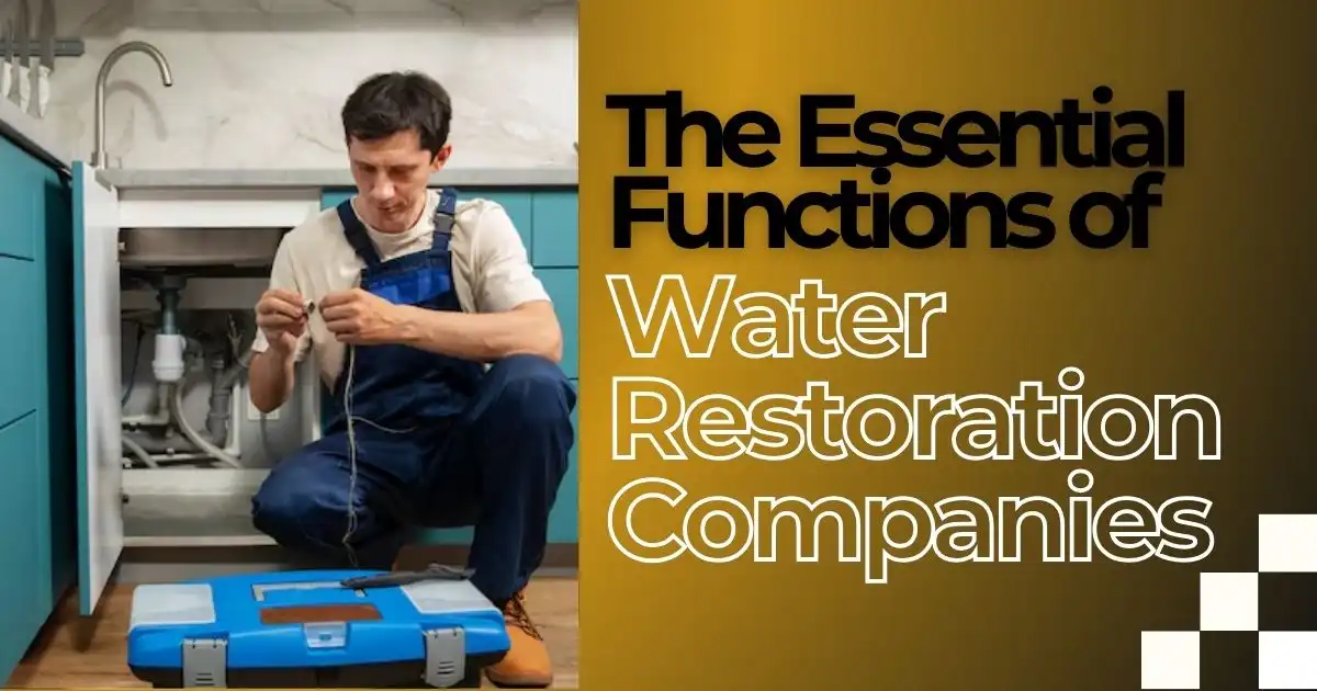 The Essential Functions of Water Restoration Companies