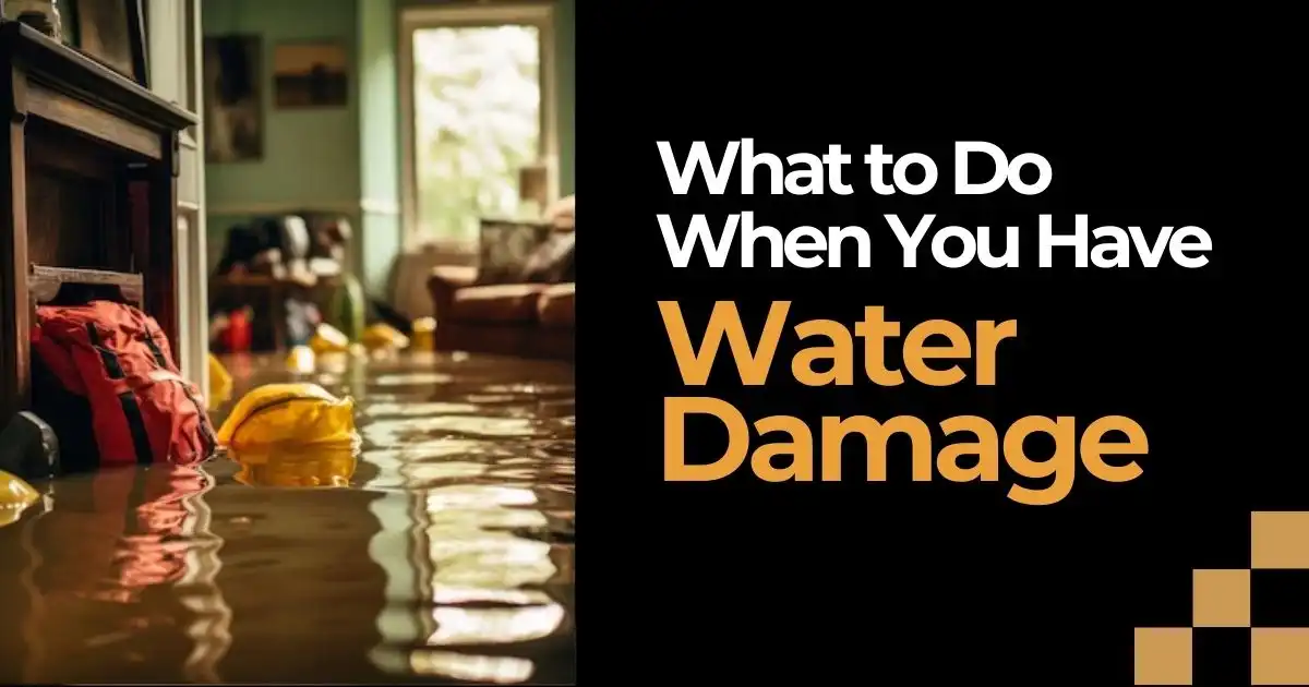 What to Do When You Have Water Damage