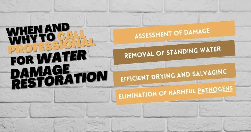 When-and-Why-to-Call-Professionals-for-Water-Damage-Restoration
