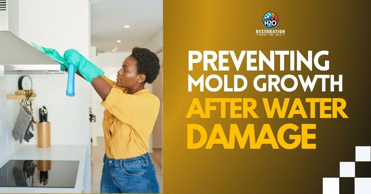 Preventing Mold Growth After Water Damage