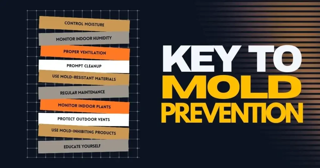 Key-to-Mold-Prevention