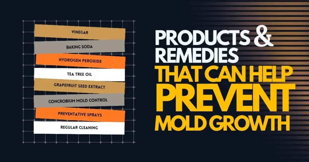 Products-And-Remedies-That-Can-Help-Prevent-Mold-Growth