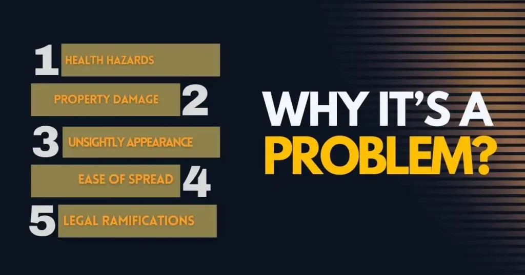 Why-its-a-Problem