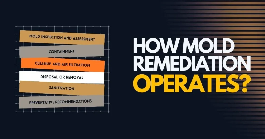 How-Mold-Remediation-Operates