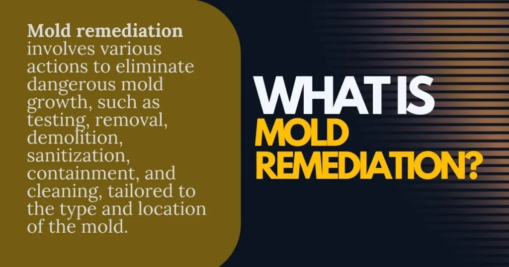 What-is-Mold-Remediation