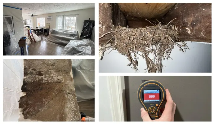 full-service restoration service cincinnati