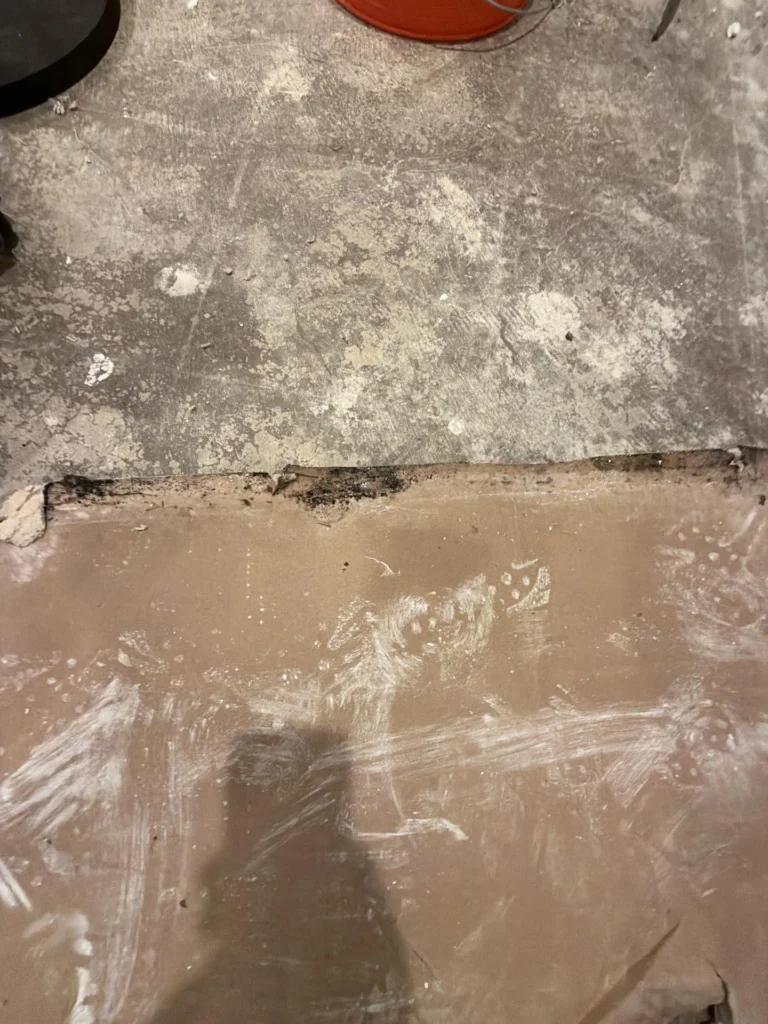Close-up of basement floor showing transition between two flooring layers with visible black mold along the seam, upper layer is bare concrete with adhesive residue, lower layer is tan vinyl or underlayment, adhesive scrape marks visible