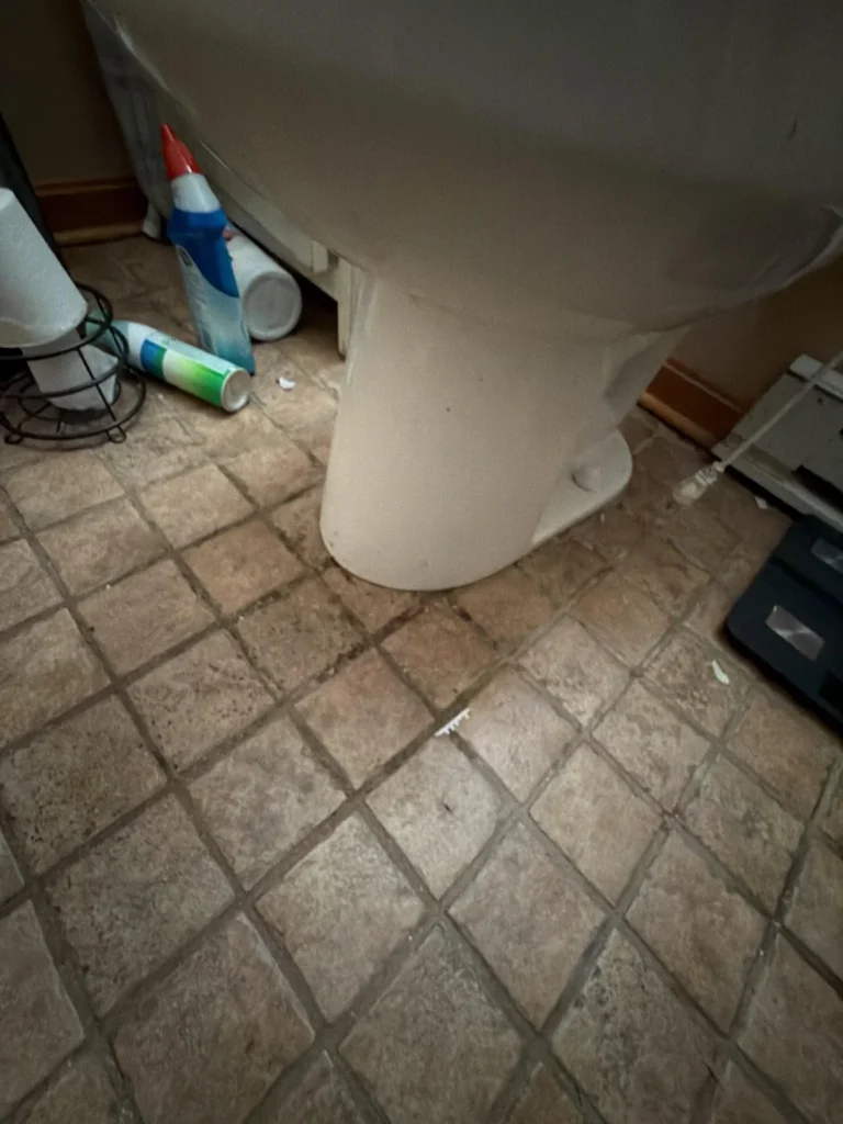 View looking down at the base of a toilet on worn ceramic tile floor with cleaning supplies and toilet paper holder nearby in a bathroom needing renovation