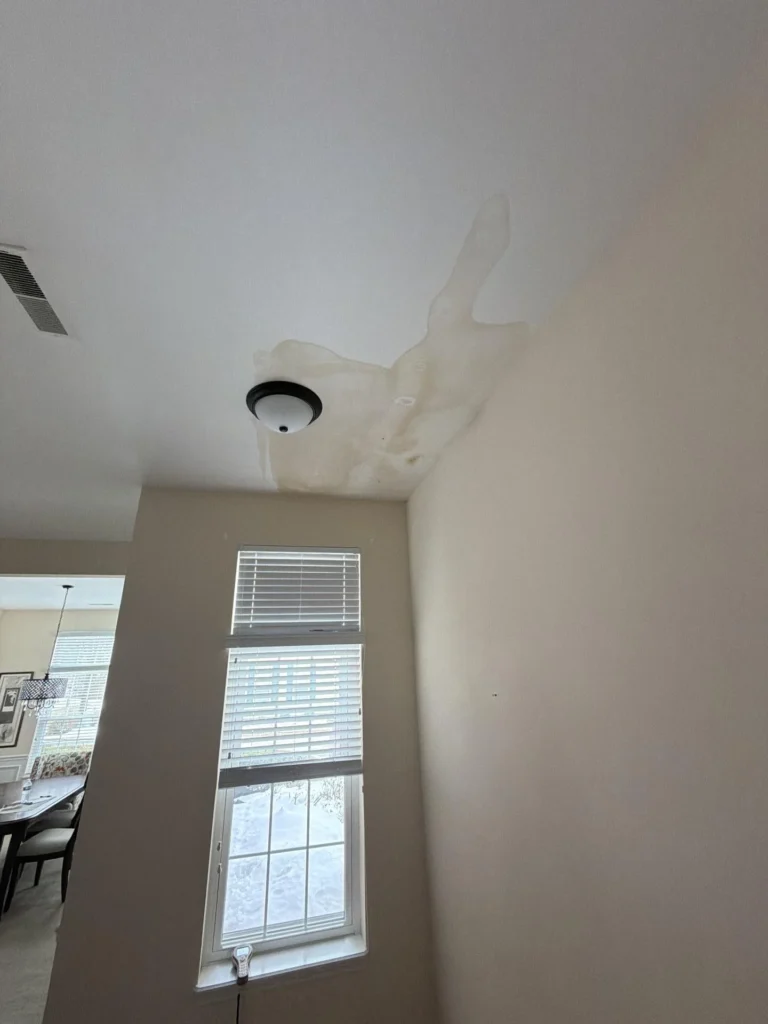 Room ceiling showing large irregular water stain and paint bulge around black dome light fixture, tall window with blinds and adjacent room visible