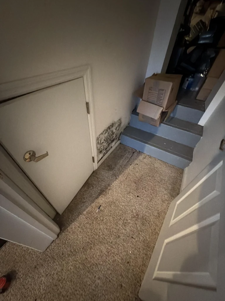 Interior staircase landing area showing significant black mold growth at the base of a white interior door and along the baseboard, stained carpet, cardboard boxes stacked on the stairs, and a cluttered adjacent room visible through an open doorway