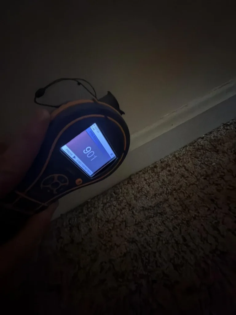 Hand holding a Protimeter MMS3 pinless moisture meter displaying a reading of 901 against a white baseboard at floor level in a dimly lit room, with carpet visible, indicating dangerously high moisture content in the wall