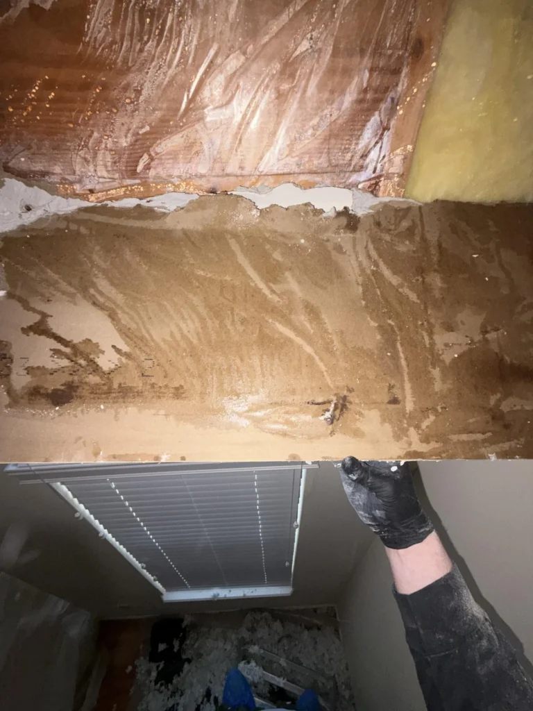 Technician in black gloves holding up water-damaged drywall panel revealing heavily stained OSB sheathing and yellow fiberglass insulation above window blind in damaged room