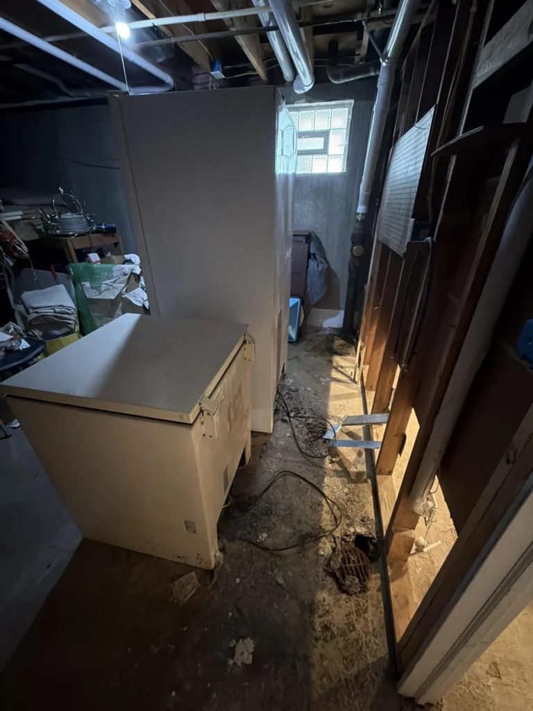 Dark unfinished basement utility area with exposed joists overhead showing white chest freezer and standing refrigerator, cluttered storage shelves on left, exposed wall studs on right, debris and wiring on dirt floor, glass block window in background