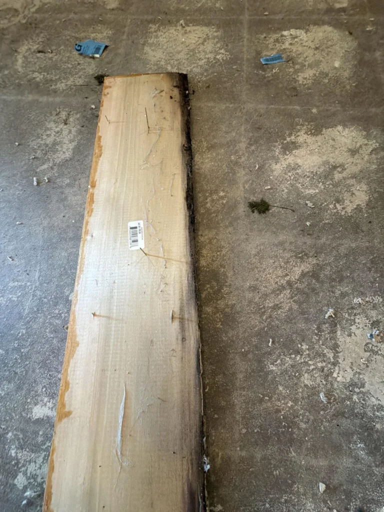 Removed baseboard lumber lying on dirty concrete floor showing extensive black mold and water damage along its bottom edge, with barcode label still attached, debris scattered on subfloor