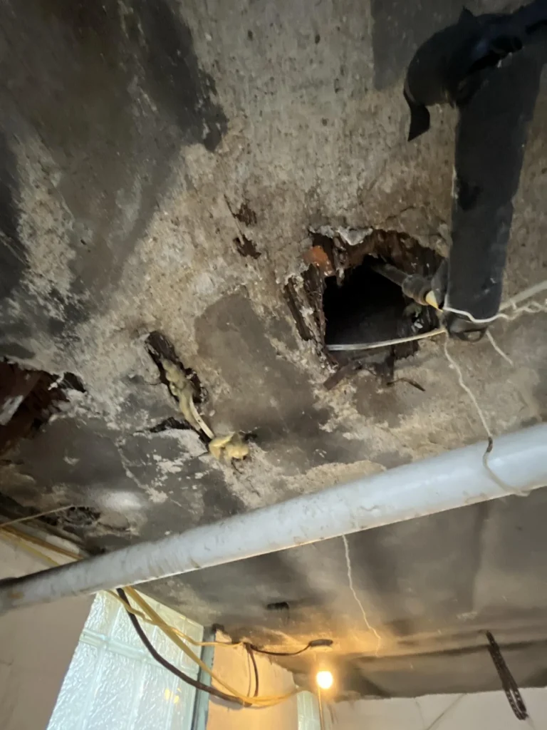 Basement concrete ceiling with large areas of missing and deteriorated plaster, multiple holes exposing the structure above, alongside black iron drain pipes, white PVC pipe, and an orange electrical wire
