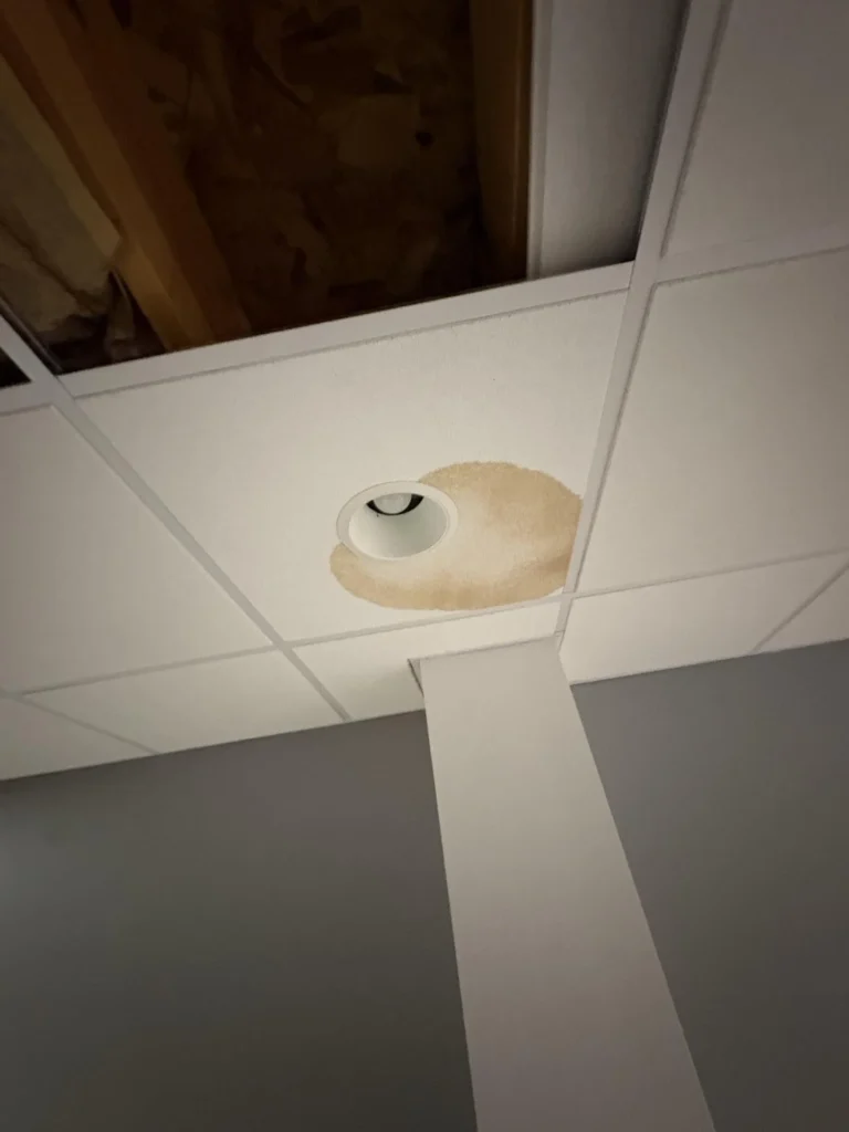 Basement drop ceiling tile with a large brown water stain surrounding a recessed light fixture, next to a removed panel exposing wood framing, with a structural column and gray walls below