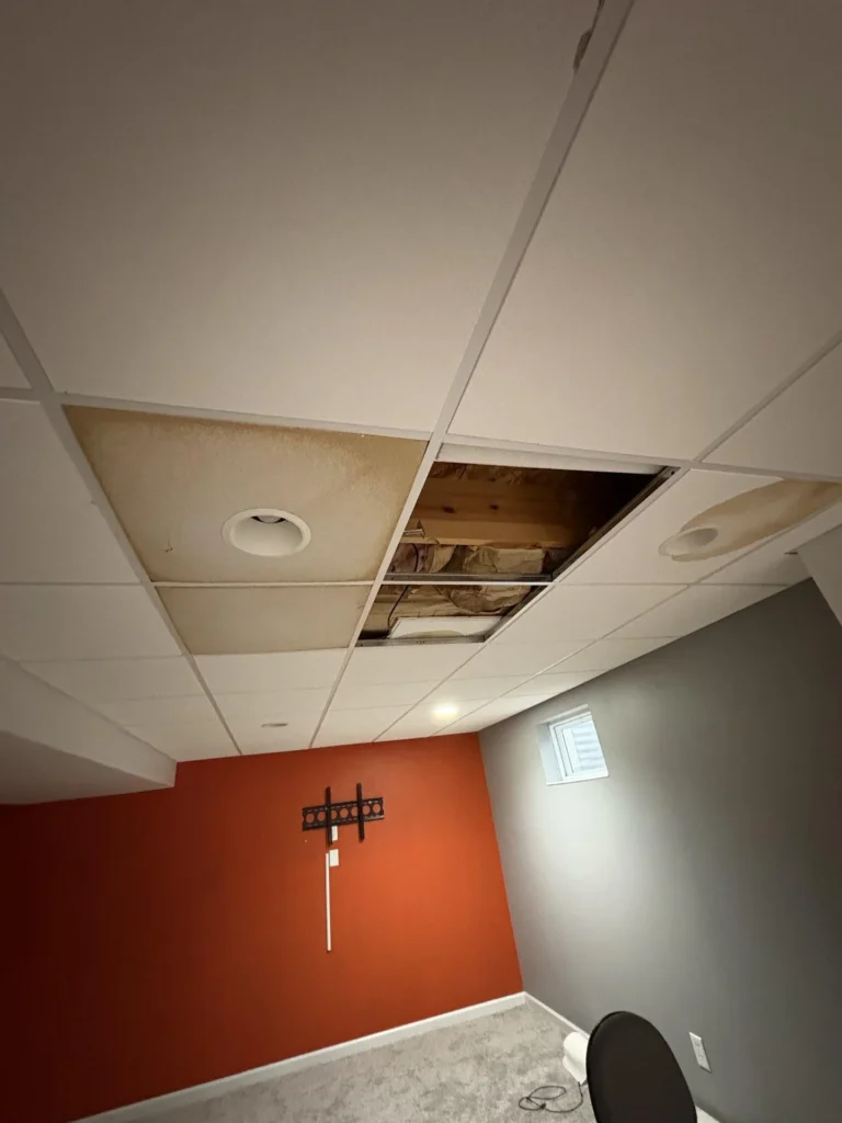 Close-up of a basement drop ceiling showing heavily water-stained ceiling tile with brown discoloration around a recessed light, and adjacent panels removed exposing wood framing and insulation above