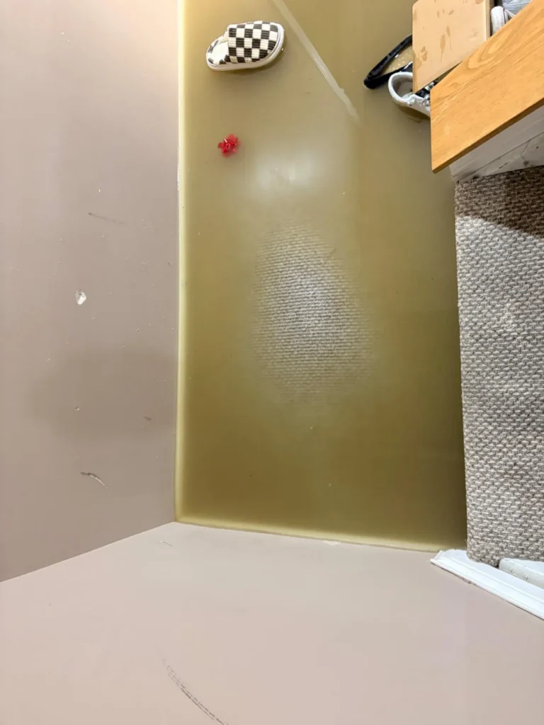 View showing the depth of basement floodwater against a wall with the water line clearly visible above the carpet and at the stair transition, with a checked shoe and small red toy floating nearby