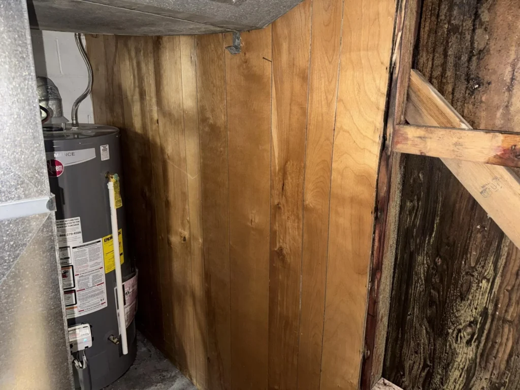 Basement utility area showing a Rheem water heater beside heavily water-stained and mold-damaged plywood wall paneling, with additional severely darkened wood paneling visible on the right