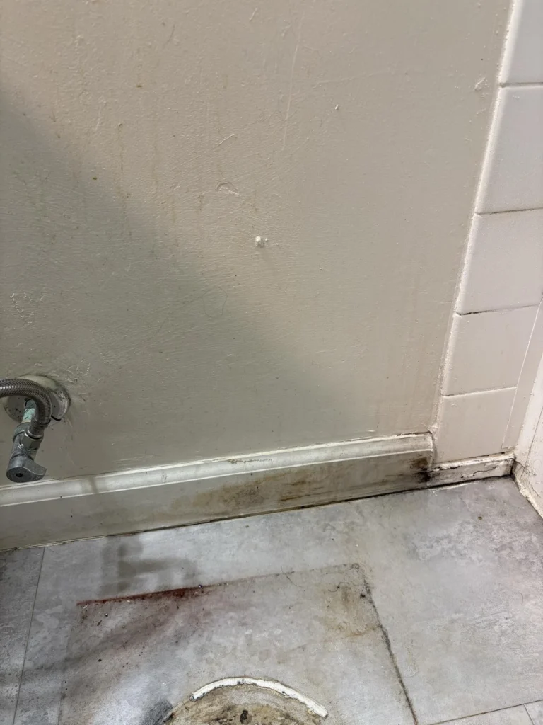 Bathroom floor corner showing black mold growth along the base of a white painted wall and baseboard near a toilet supply line, with discolored tile floor and water staining indicating long-term moisture intrusion