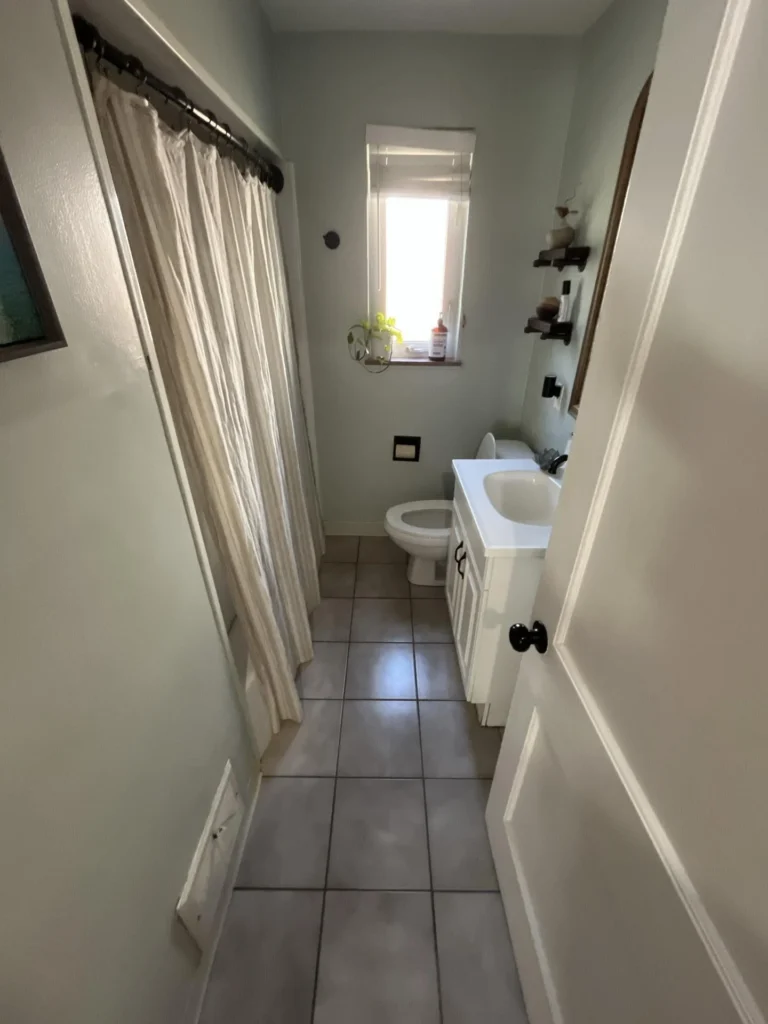 Interior bathroom with white shower curtain, toilet, white vanity with sink, wall-mounted shelves, and a small window with a plant on the ledge