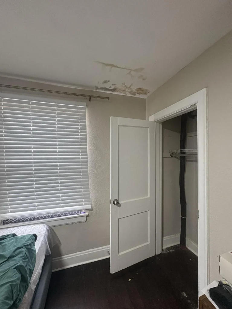 Bedroom with large tan and dark gray water damage stains and mold spreading across the white ceiling corner near a window, with a dark hardwood floor, an open closet door, and a bed with green bedding visible