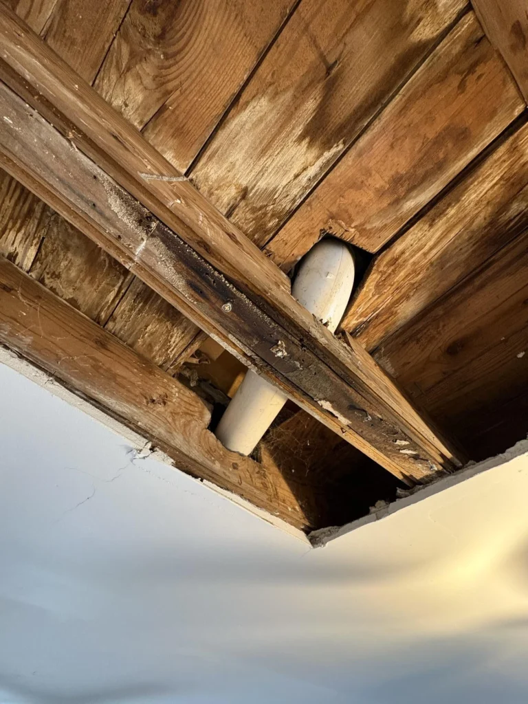 Close-up of exposed ceiling joists and subfloor boards showing significant water damage and dark mold staining, with a white PVC drain pipe passing through the framing cavity indicating the source of the leak
