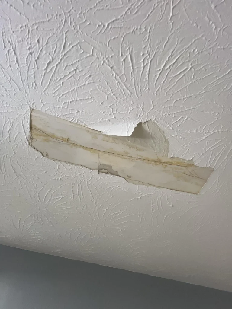 Interior ceiling with a long strip of drywall paper peeling away and sagging, revealing brown water damage staining beneath on a textured white ceiling surface