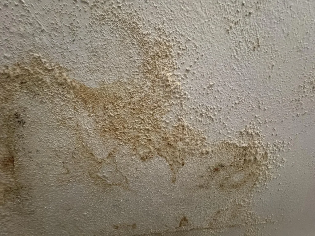 Close-up of a textured white ceiling showing extensive brown water staining and mineral efflorescence deposits spreading in an irregular pattern, indicating significant moisture intrusion from above