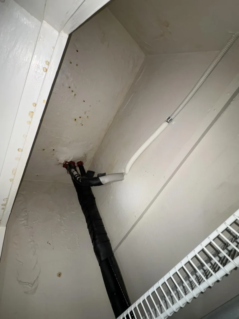 Inside top corner of a bedroom closet showing a black insulated mini-split refrigerant line and white condensate drain pipe entering through a water-stained ceiling with brown mineral deposit spots and mold, with a wire closet shelf at right