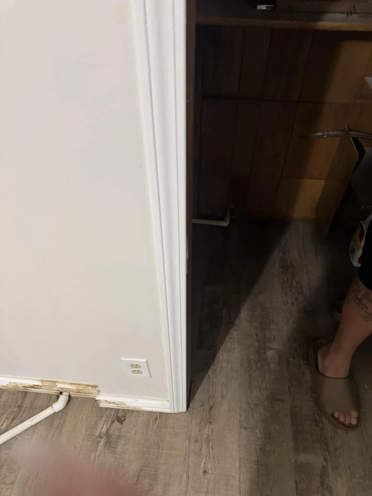 View of a hallway door frame with water-damaged white painted baseboard and door trim, showing dark under-stair storage area beyond with aged wood paneling and metal shelf brackets