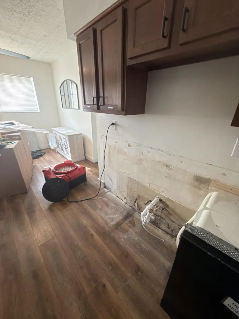 Kitchen with dark wood upper cabinets intact but lower wall drywall removed showing mold growth on studs and exposed plumbing supply lines, red air mover on hardwood floor during water damage remediation