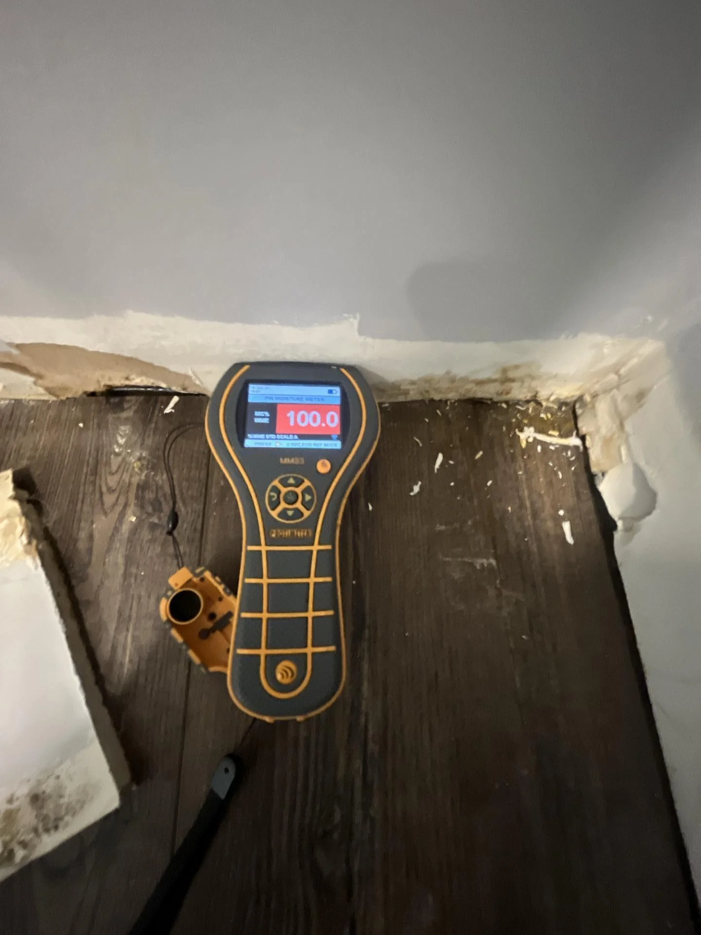 Protimeter MMS3 moisture meter in pin mode showing 100.0 percent moisture reading on a dark wood beam exposed after drywall removal, indicating completely saturated wood