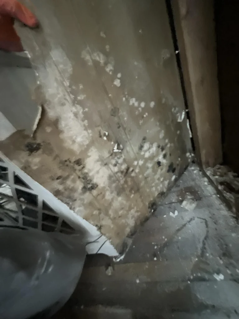 Close-up of the back side of a removed drywall panel showing extensive black mold colonies and water staining on the paper backing, with dishwasher rack and tile floor visible beneath