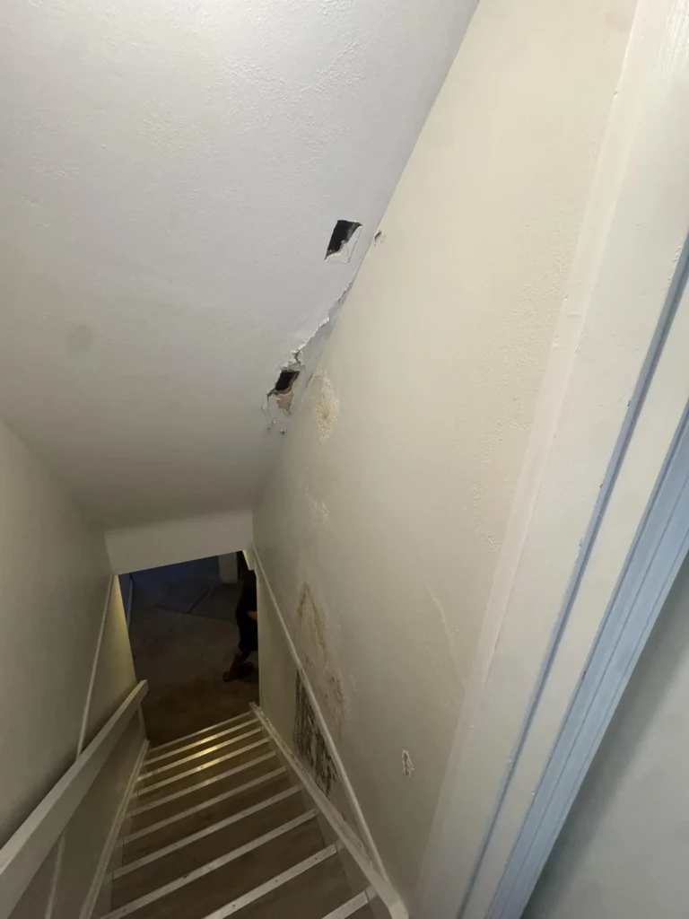 View down a stairwell showing two inspection holes cut in the white ceiling near the wall junction, water staining on the ceiling surface, and black mold growth at the base of the stairwell wall below