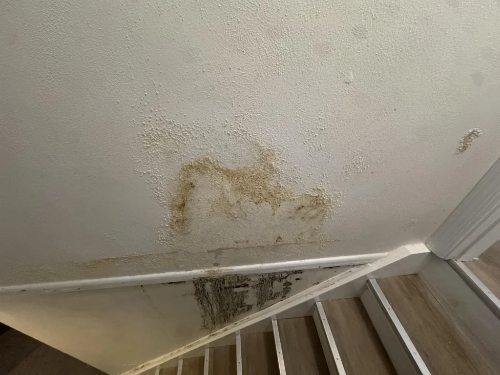 Stairwell ceiling showing a large irregular brown water stain with textured paint damage above white stair stringers with bare wood stair treads and visible black mold at the lower wall junction