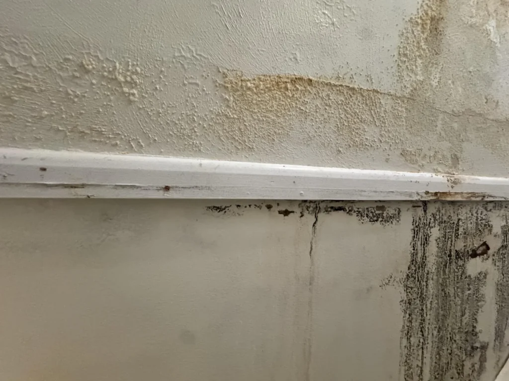 up of stairwell wall showing brown water staining and mineral deposits on the textured upper wall above a white chair rail, with black mold streaking down the lower wall surface below it