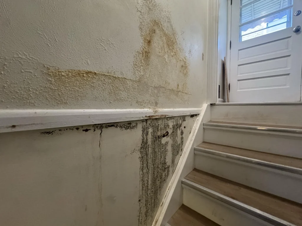 Stairwell wall showing extensive brown water staining above a white chair rail and heavy black mold streaking below it, with a white door and louvered window visible at the top of the stairs