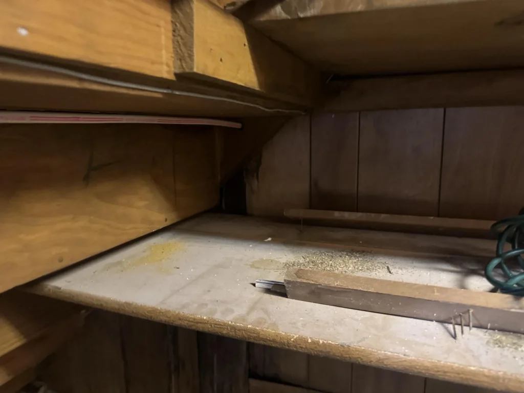 Interior view of under-stair storage shelving area with water-stained plywood walls and floors, showing black-streaked mold damage in the back corner with metal tools and a green extension cord on the shelf