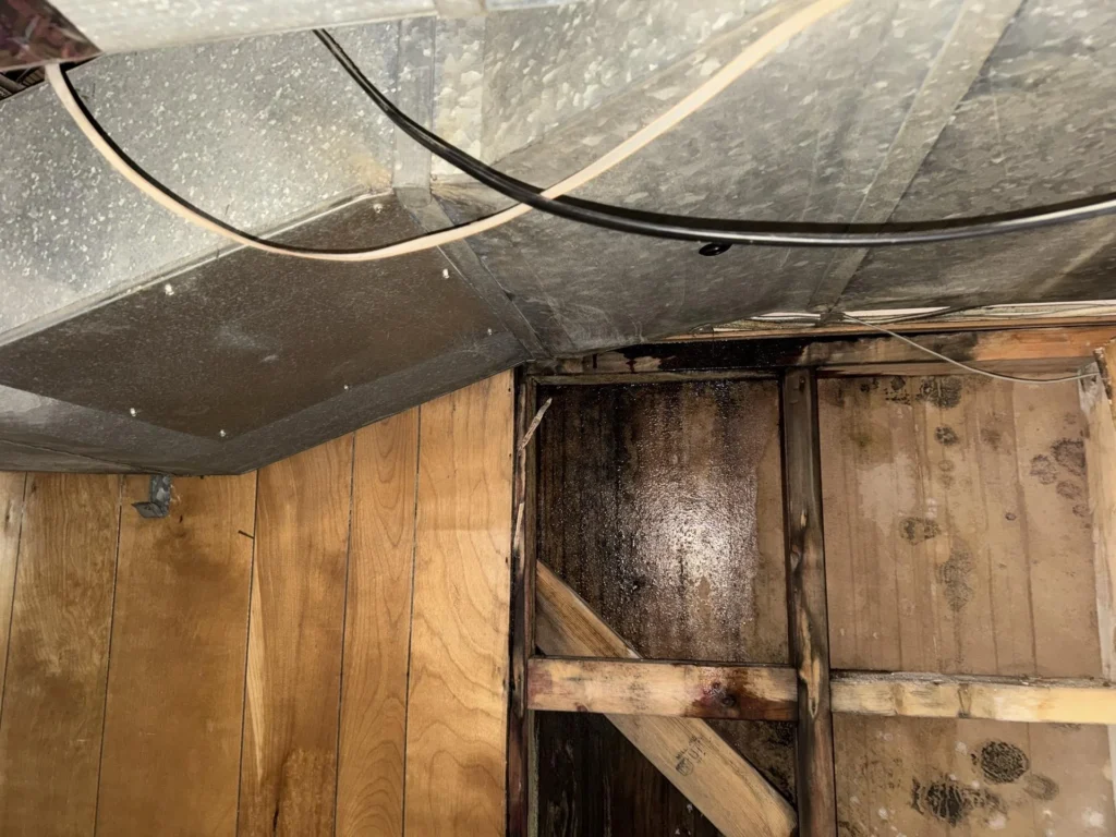 Close-up of under-stair storage area ceiling junction showing galvanized steel HVAC ductwork with condensation and black mold-damaged wooden wall panels below, with exposed electrical wiring running through the space