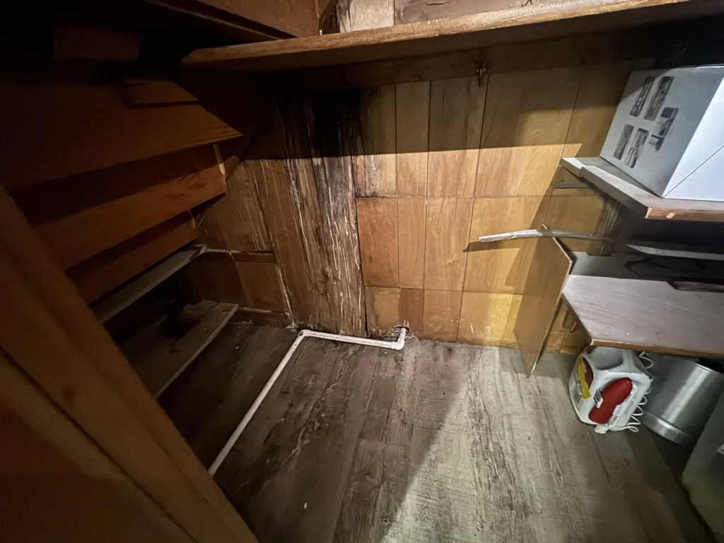 Under-stair storage closet showing water-damaged dark plywood wall panels, wooden shelving holding Sherwin-Williams SuperPaint cans, a coiled green extension cord, and various household supplies